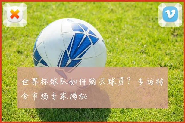 世界杯球队如何购买球员?专访转会市场专家揭秘