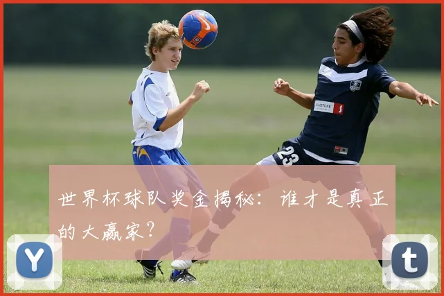 世界杯球队奖金揭秘:谁才是真正的大赢家?