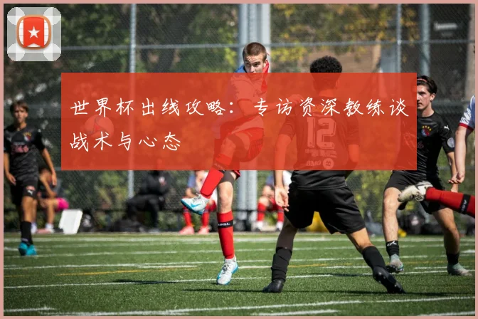 世界杯出线攻略:专访资深教练谈战术与心态