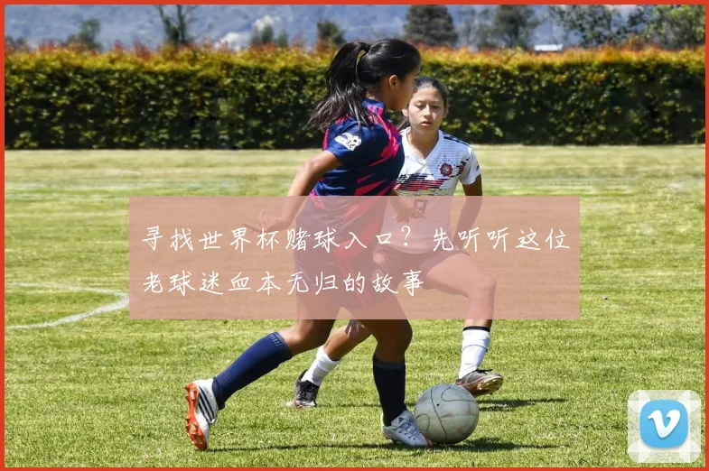 寻找世界杯赌球入口?先听听这位老球迷血本无归的故事