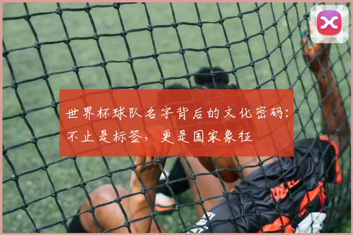 世界杯球队名字背后的文化密码:不止是标签,更是国家象征