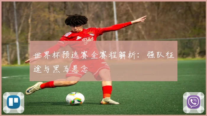 世界杯预选赛全赛程解析：强队征途与黑马悬念