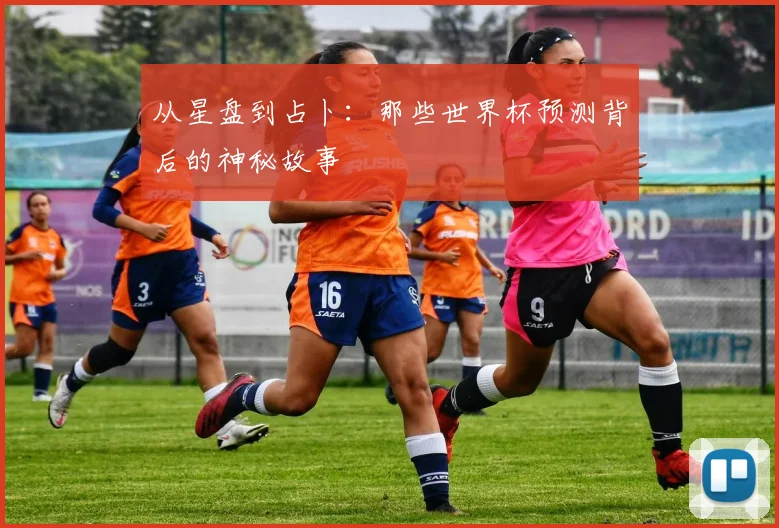 从星盘到占卜：那些世界杯预测背后的神秘故事