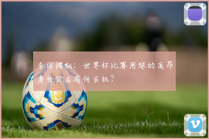 专访揭秘：世界杯比赛用球的高昂身价背后有何玄机？