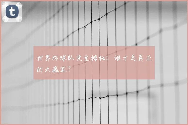 世界杯球队奖金揭秘：谁才是真正的大赢家？