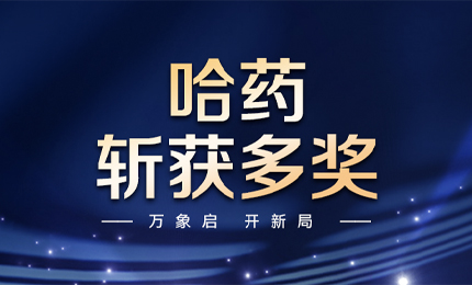 【喜讯】万象启，开新局，Stake斩获多枚奖项