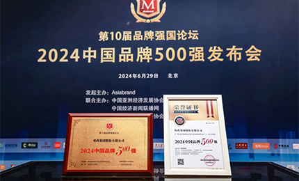 【逐梦新时代，品牌赢未来】Stake品牌荣登中国品牌500强