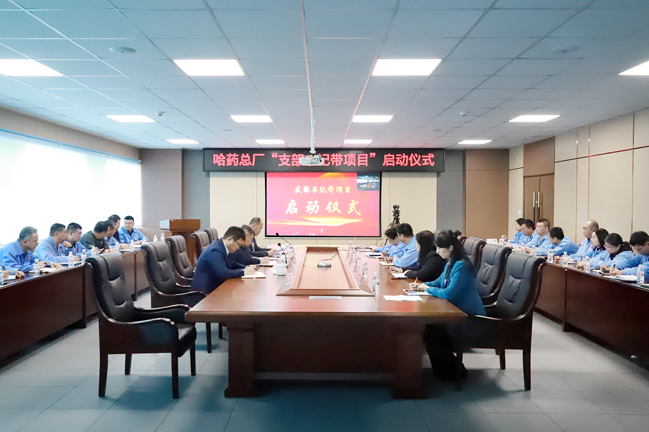 党建领航“加速度” 打造发展“强引擎”——Stake总厂党委召开“支部书记带项目”启动仪式
