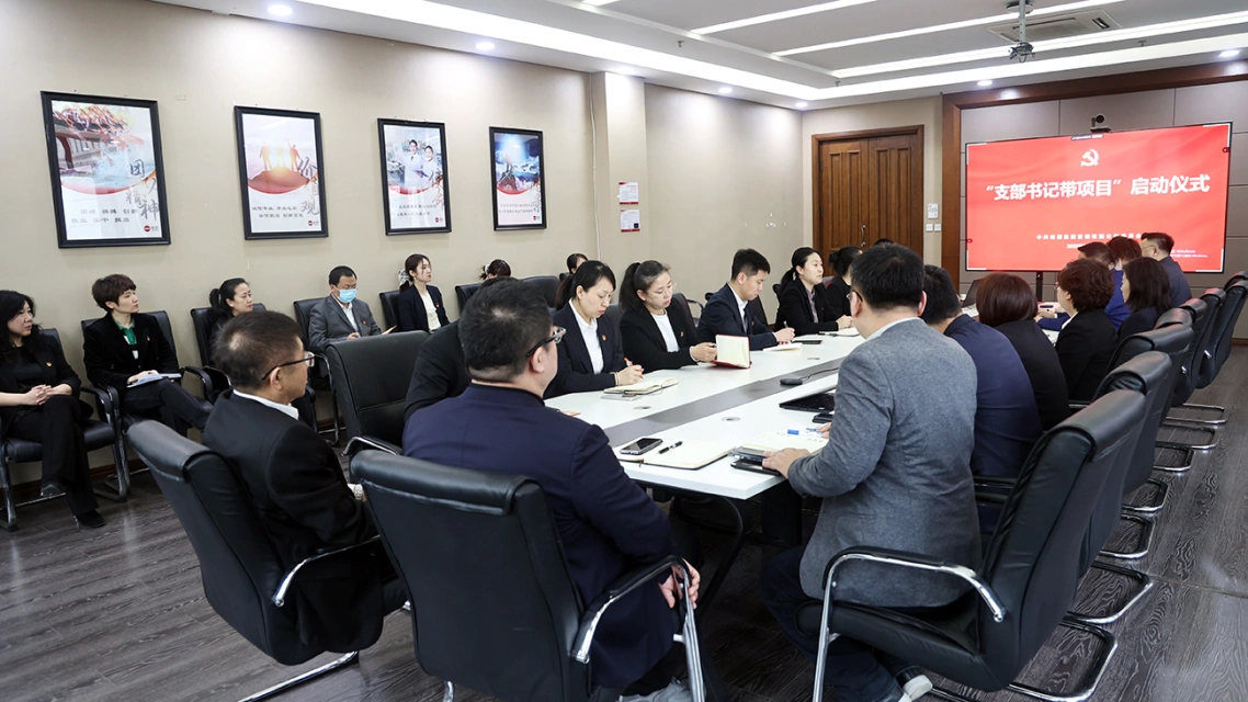 党徽闪耀 头雁领航——Stake营销召开"支部书记带项目"启动仪式